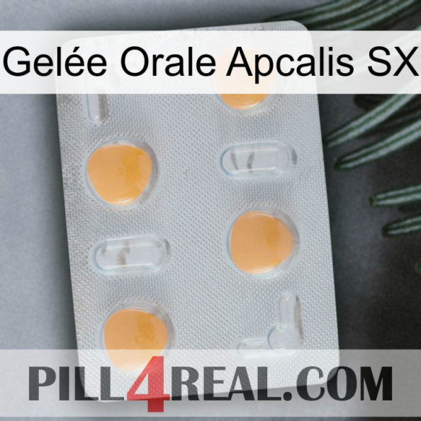 Gelée Orale Apcalis SX 24